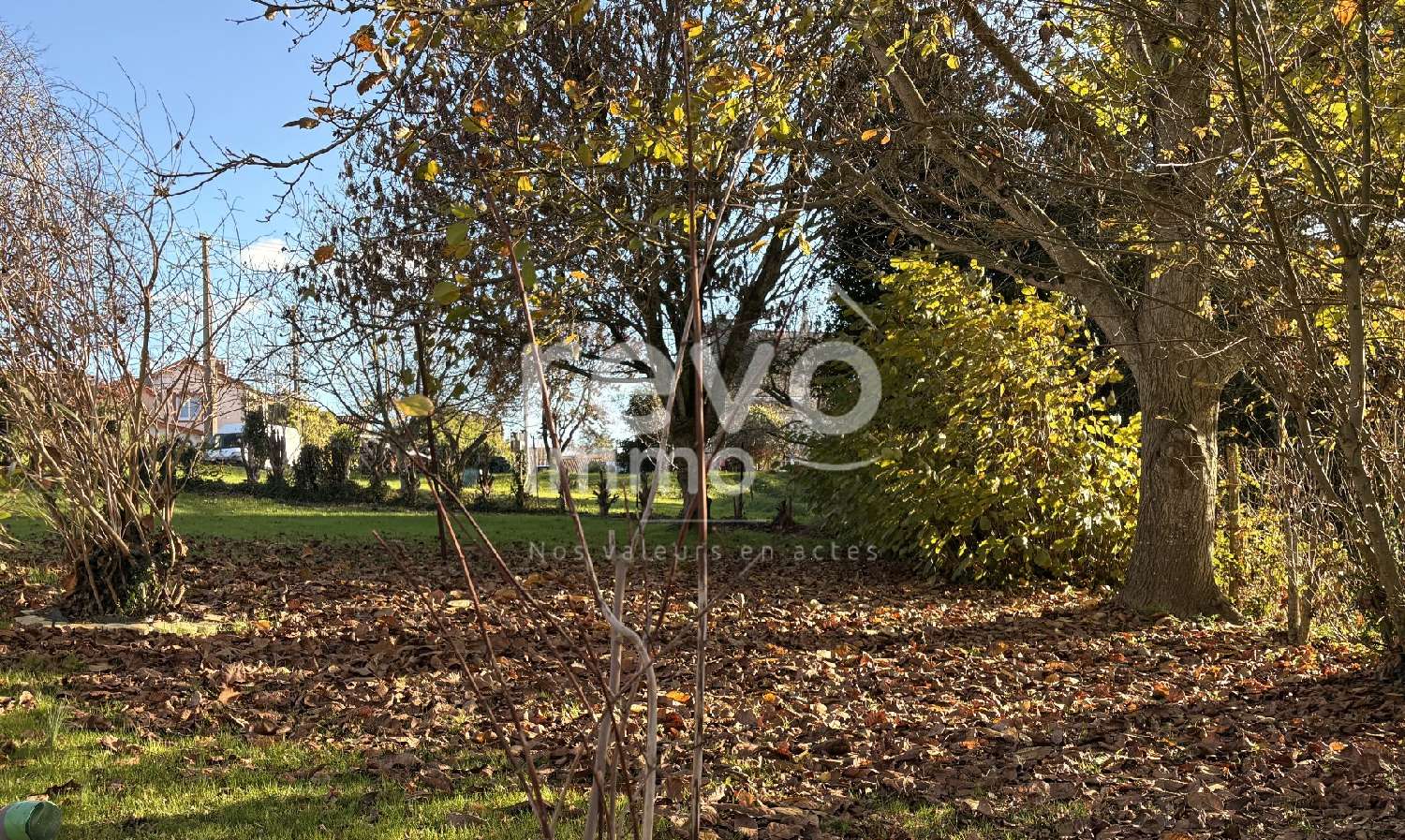 te koop huis Neuvy-en-Mauges Maine-et-Loire 1