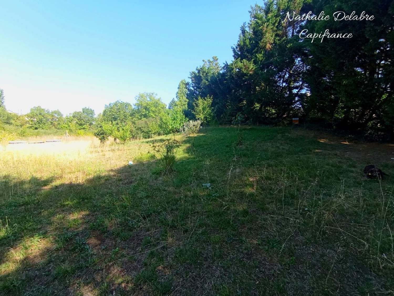 à vendre maison Niort Deux-Sèvres 3