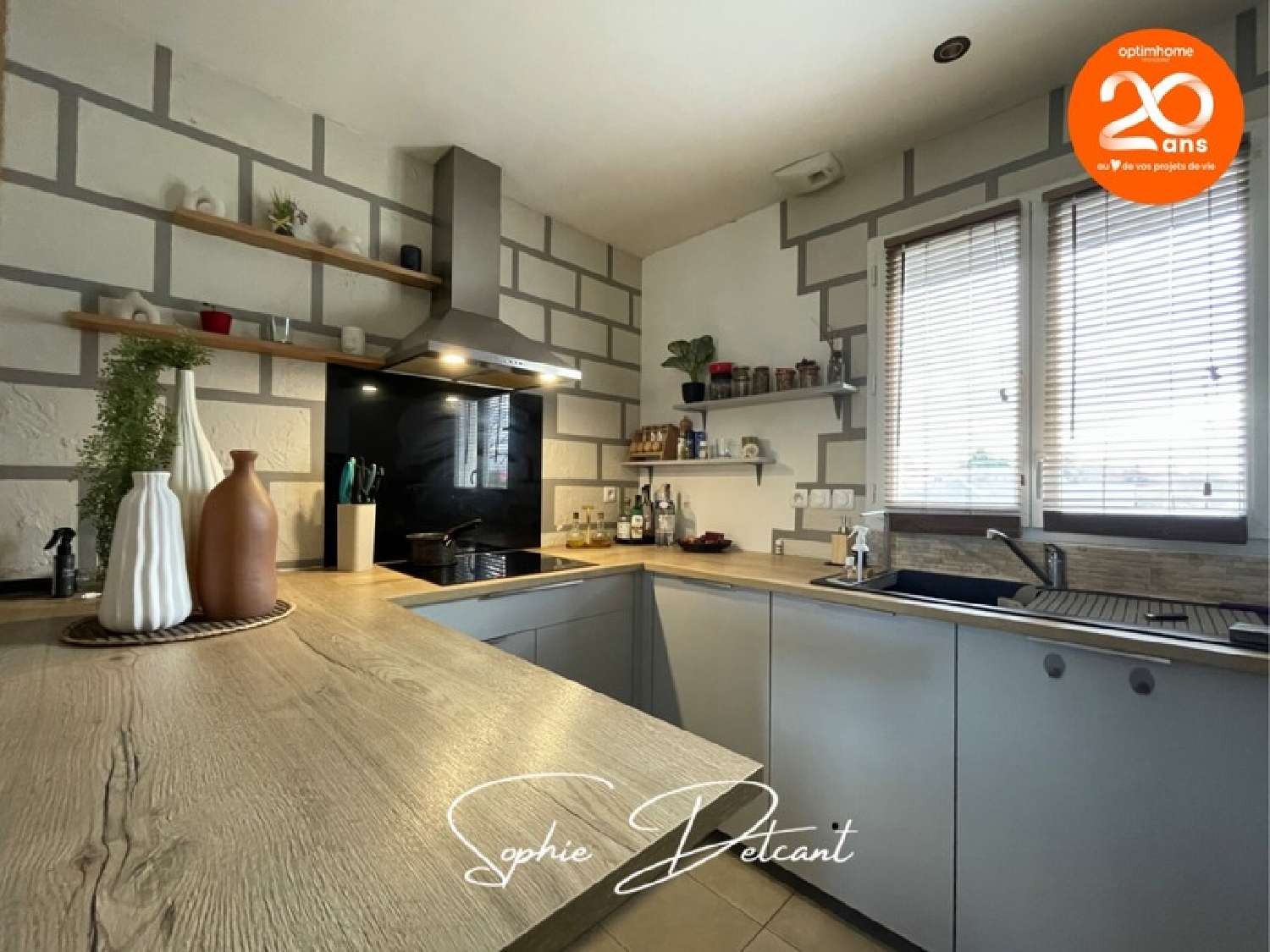 kaufen Haus Nouzilly Indre-et-Loire 1