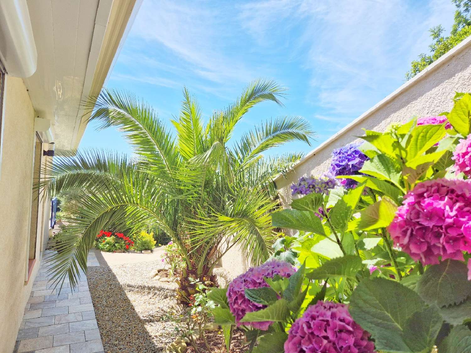  en venta casa Olargues Hérault 3