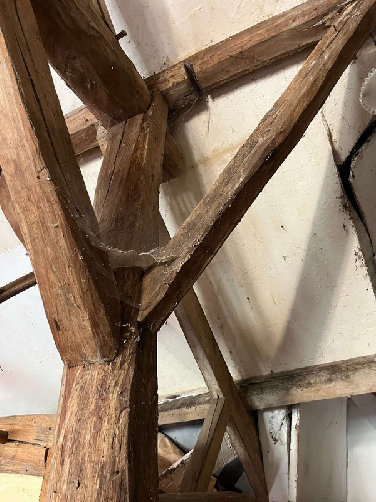  for sale house Ouzouer-sous-Bellegarde Loiret 5