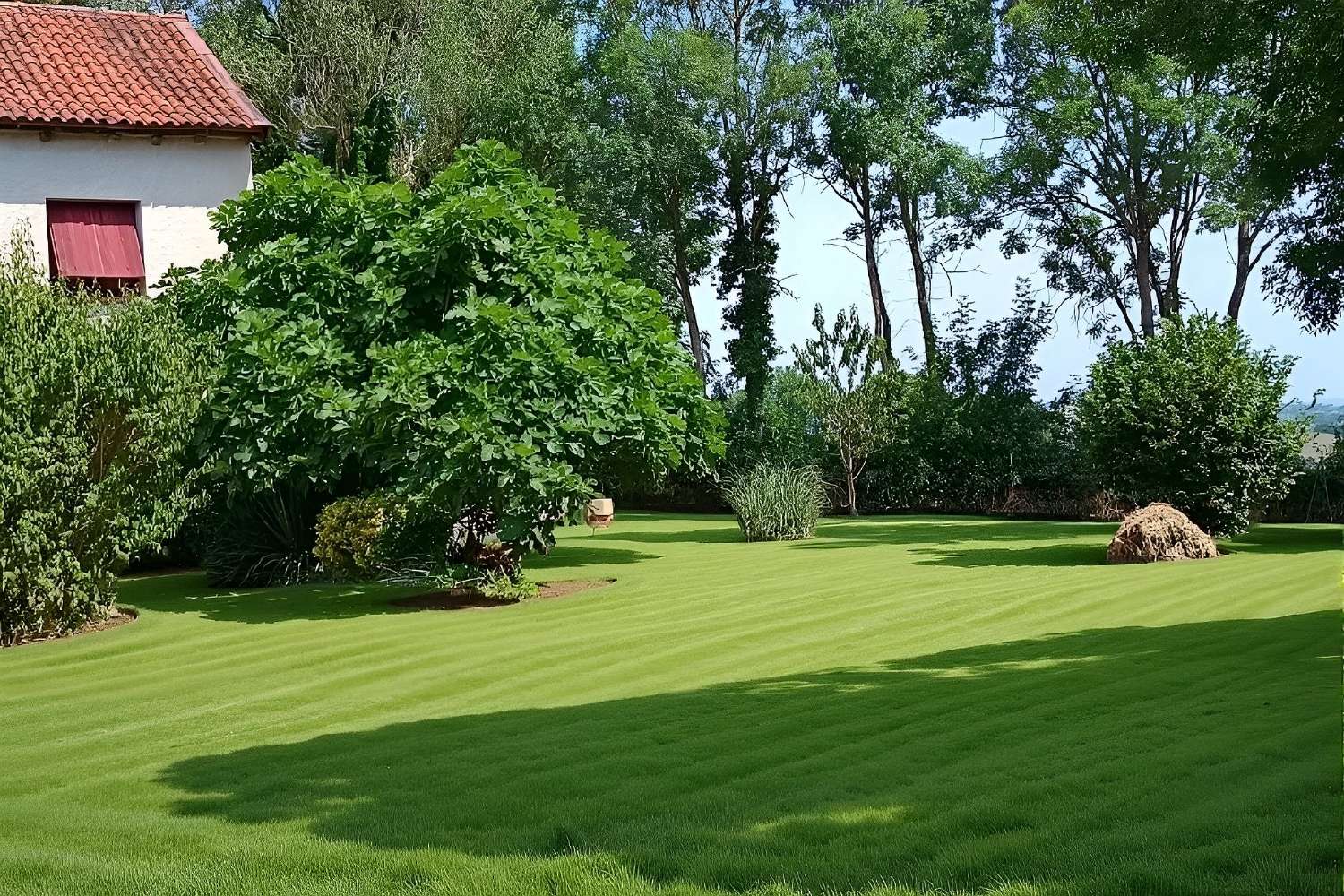  kaufen Haus Padiès Tarn 6