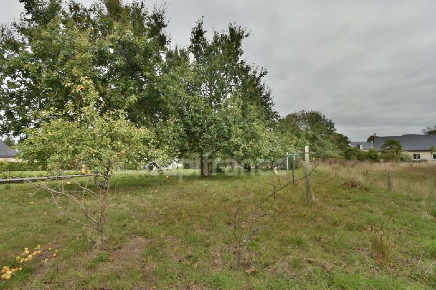  kaufen Haus Paimpol Côtes-d'Armor 7