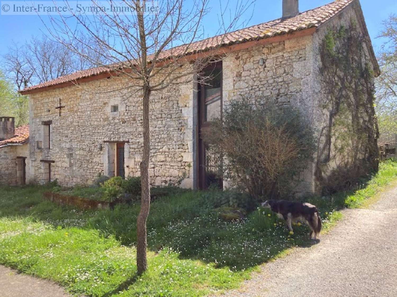  for sale house Périgueux Dordogne 4