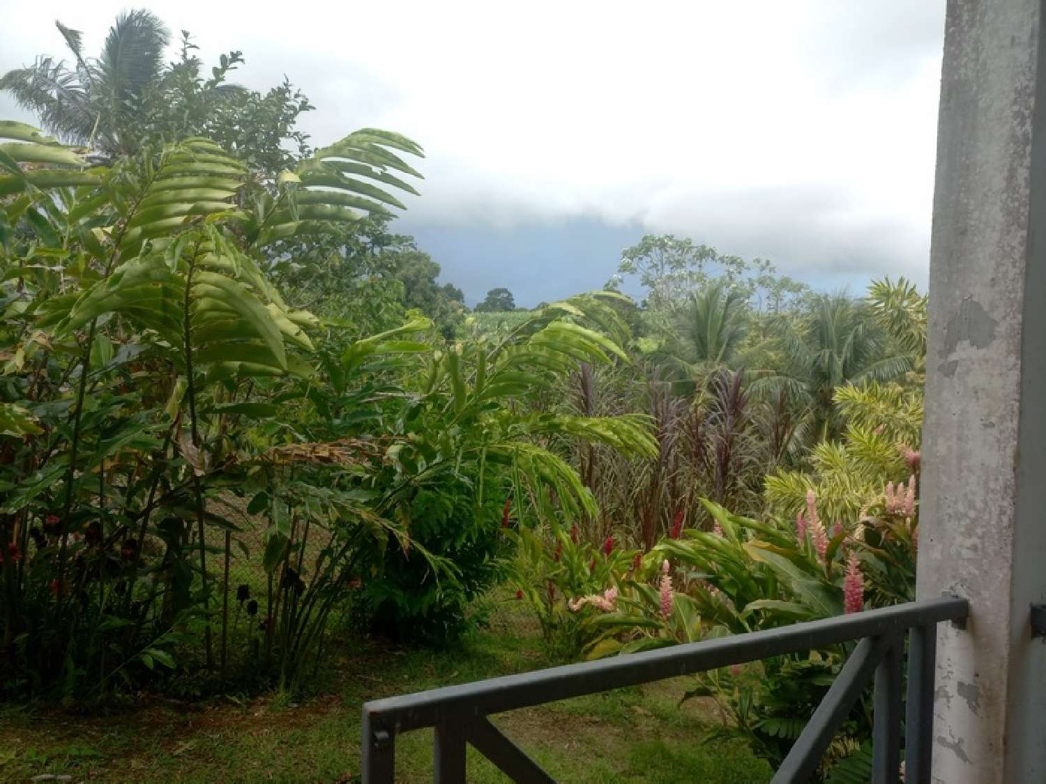  te koop huis Petit-Bourg Guadeloupe 3