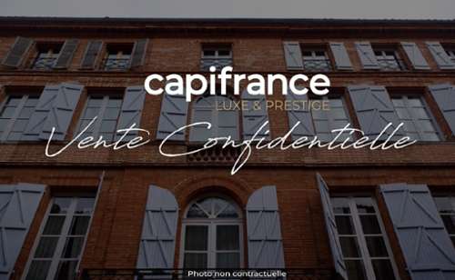 Plaisance-du-Touch Haute-Garonne Haus Bild 7267305