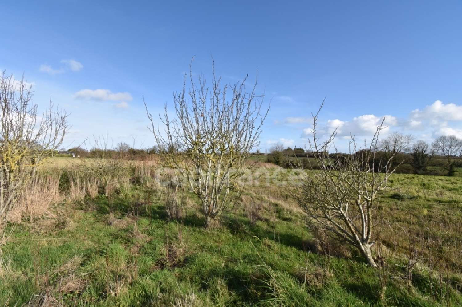  te koop huis Plouézec Côtes-d'Armor 6