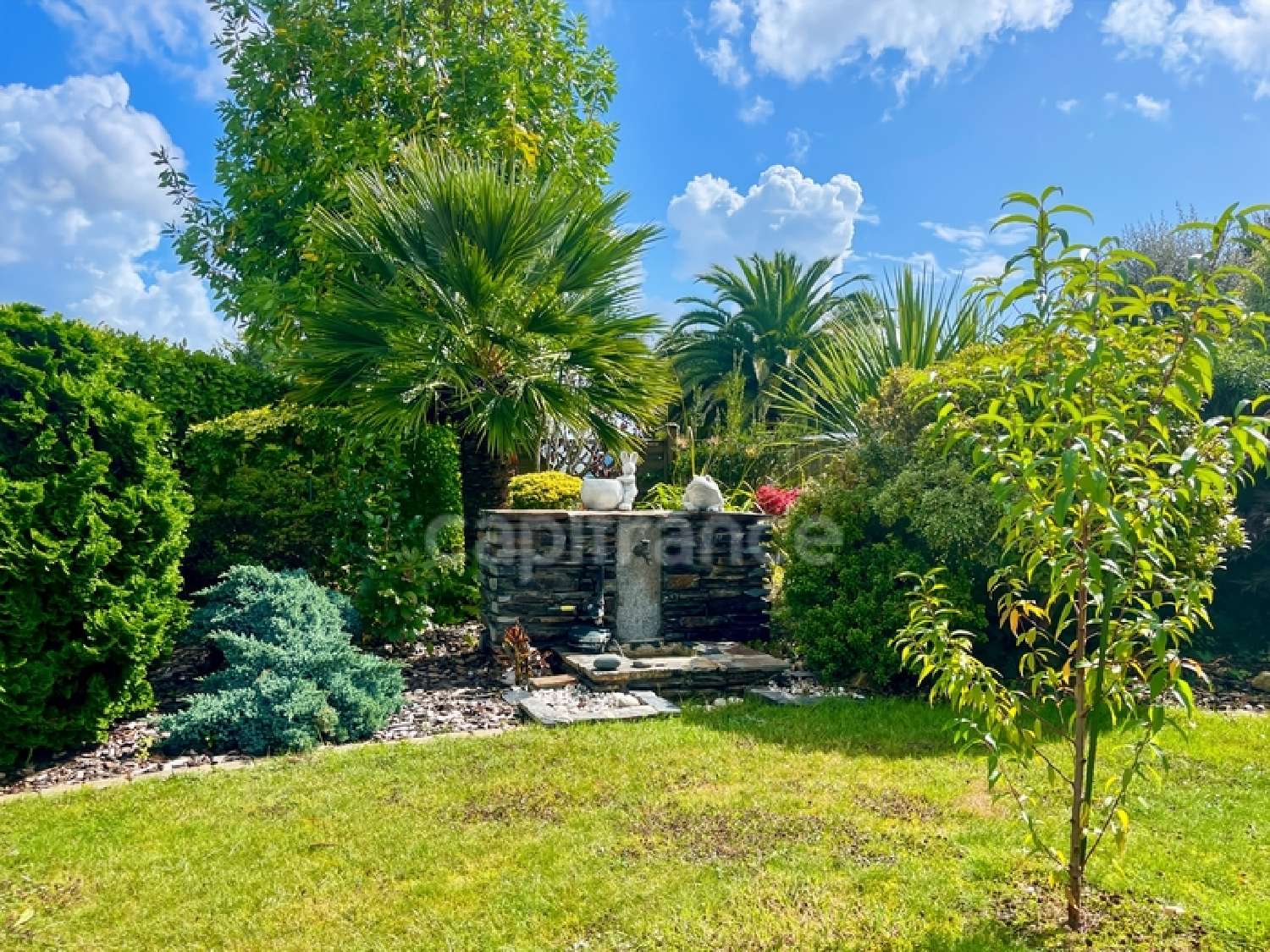  à vendre maison Plougastel-Daoulas Finistère 2