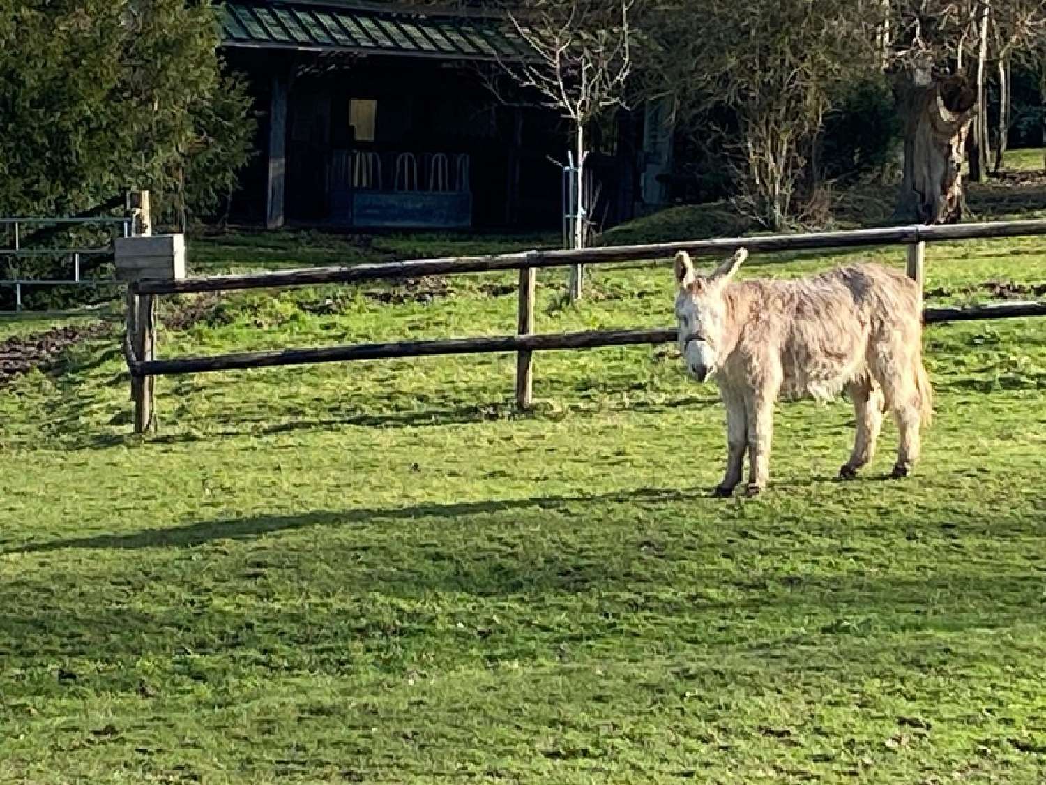 for sale house Pont-l'Évêque Calvados 5