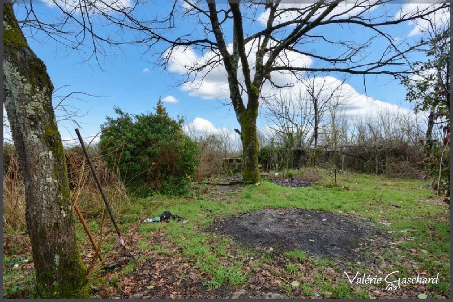  for sale house Porchères Gironde 2