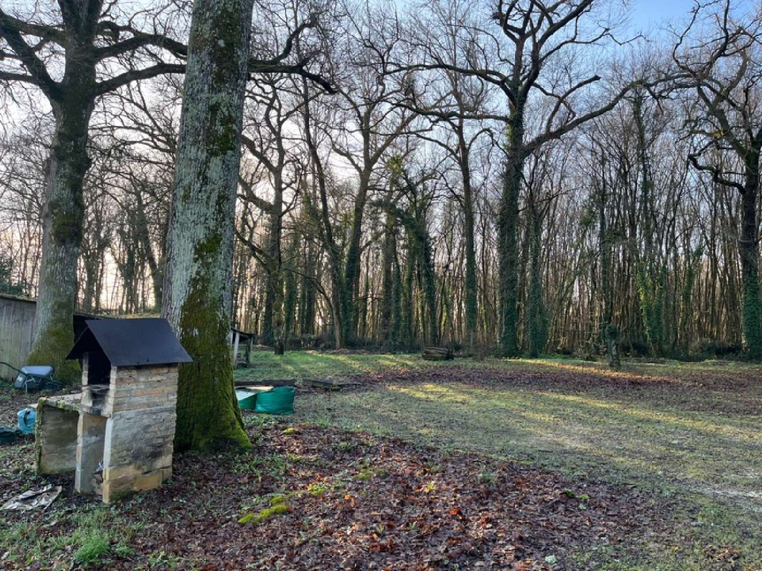  kaufen Haus Puymangou Dordogne 6