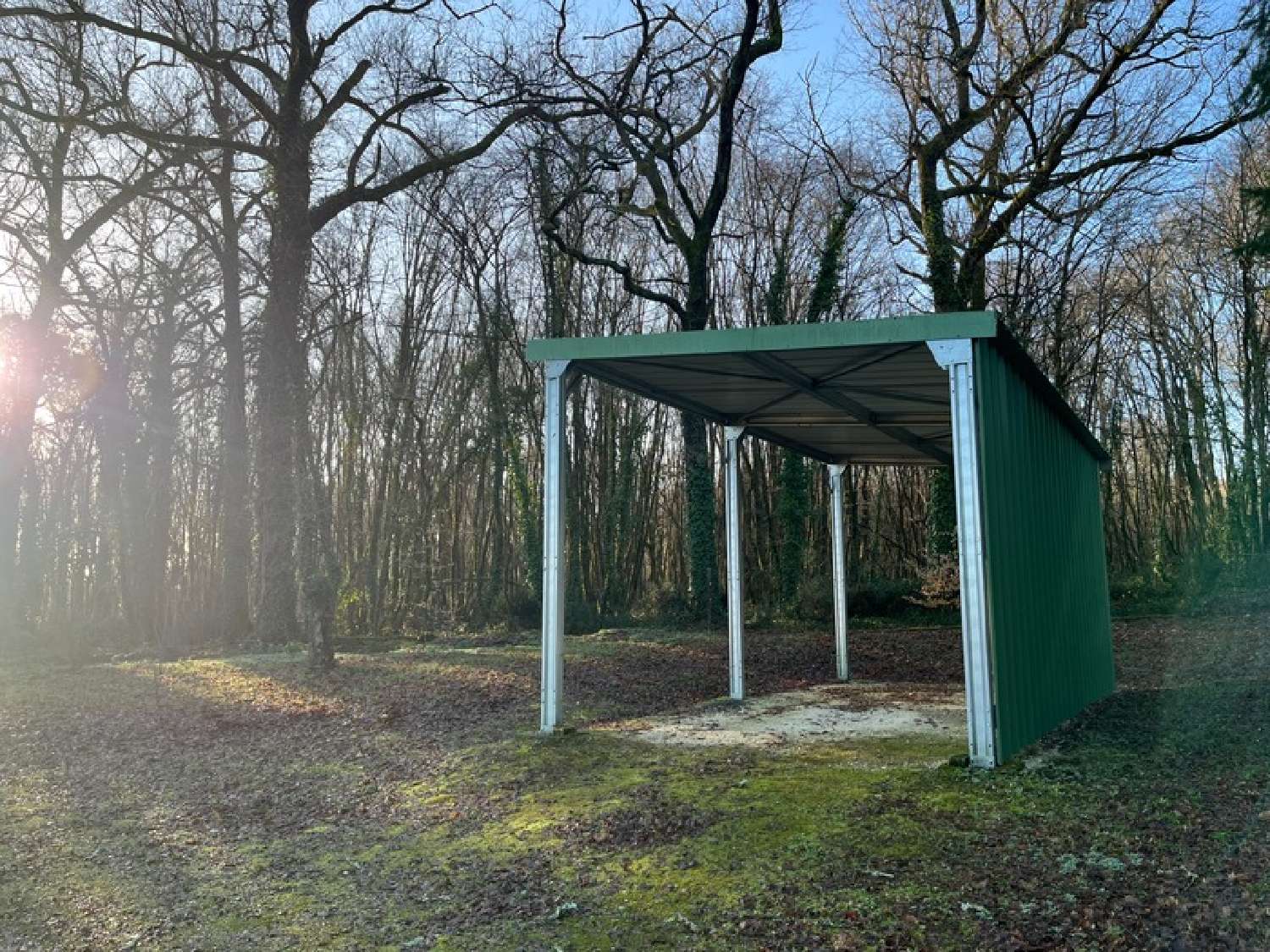  kaufen Haus Puymangou Dordogne 7