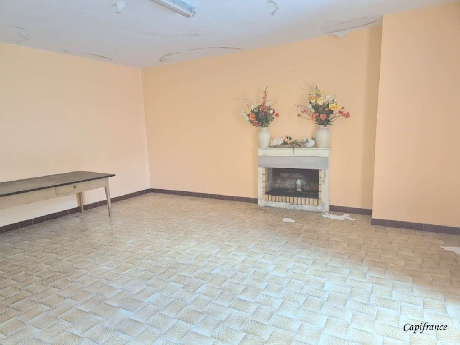  for sale house Puyrolland Charente-Maritime 2