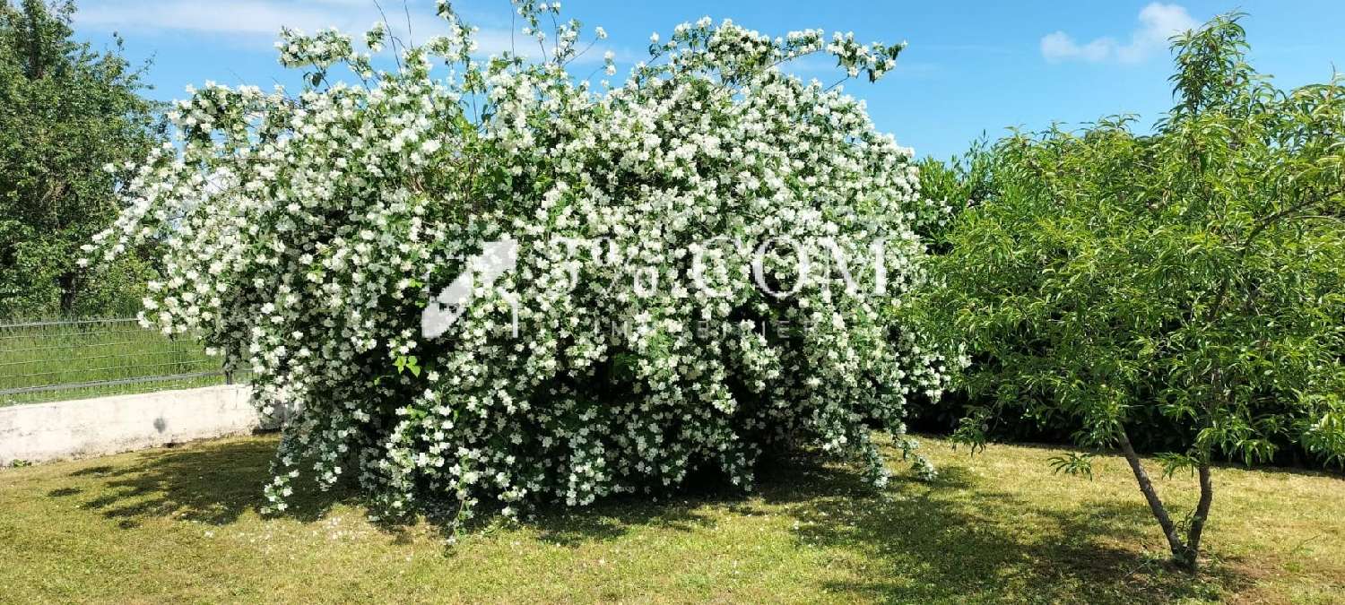  kaufen Haus Rehainviller Meurthe-et-Moselle 3