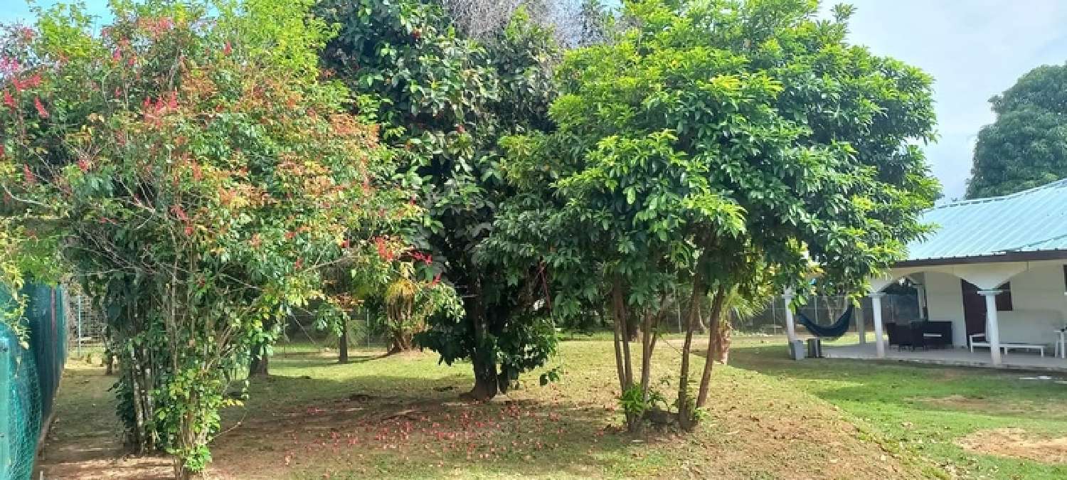 te koop huis Remire-Montjoly Guyane 2