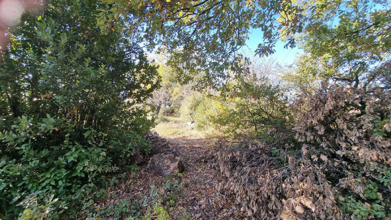 te koop huis Ribaute-les-Tavernes Gard 7