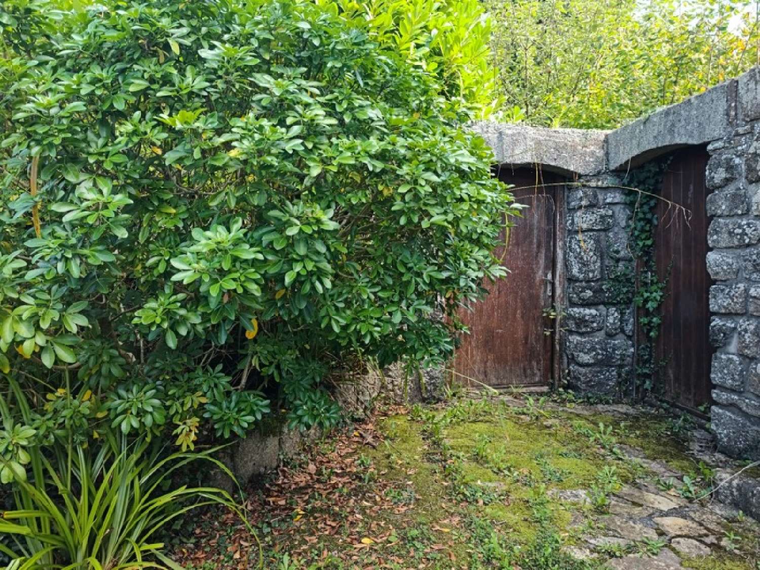  à vendre maison Riec-sur-Bélon Finistère 6