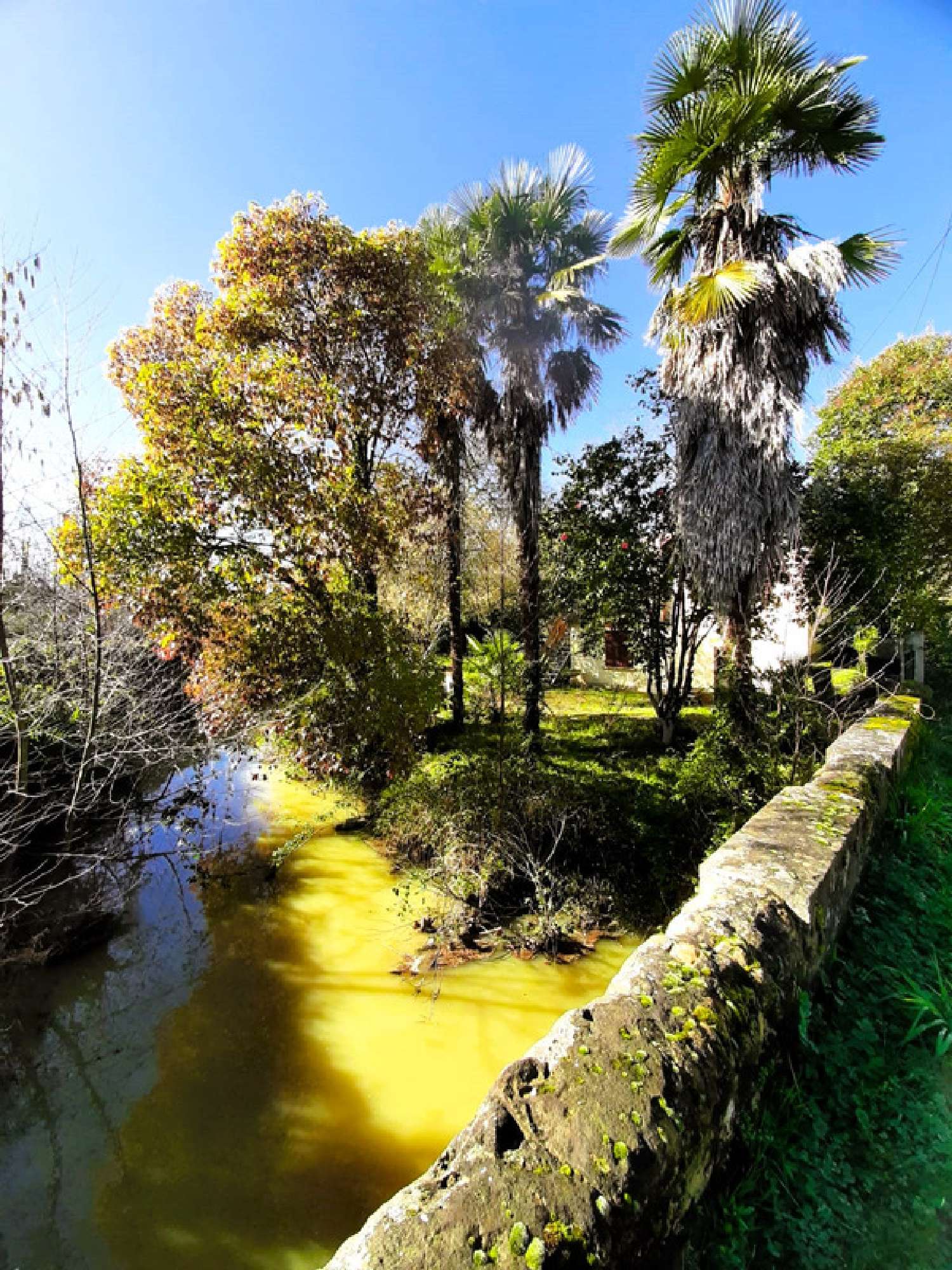  for sale house Riscle Gers 4