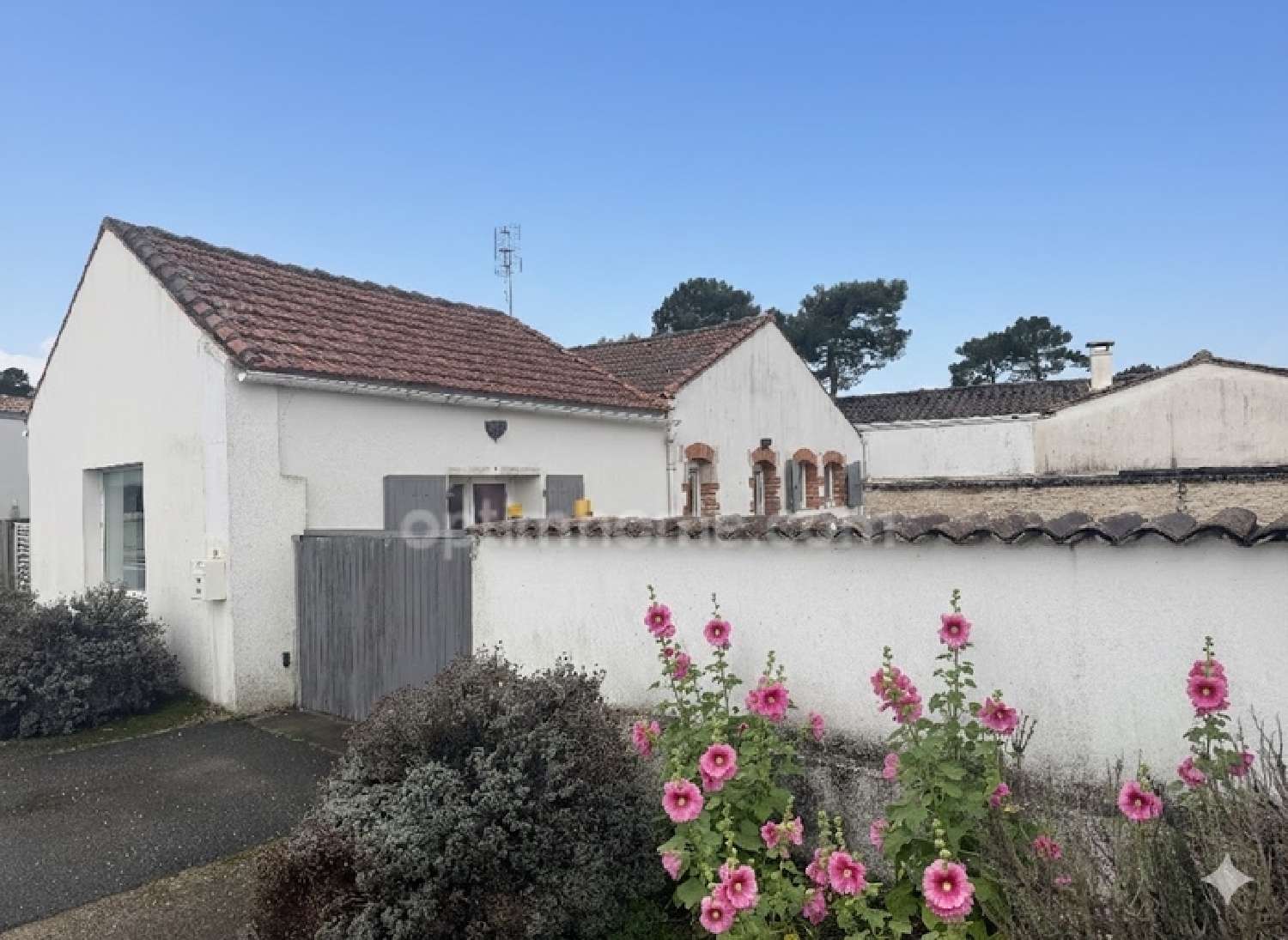  te koop huis Rivedoux-Plage Charente-Maritime 2