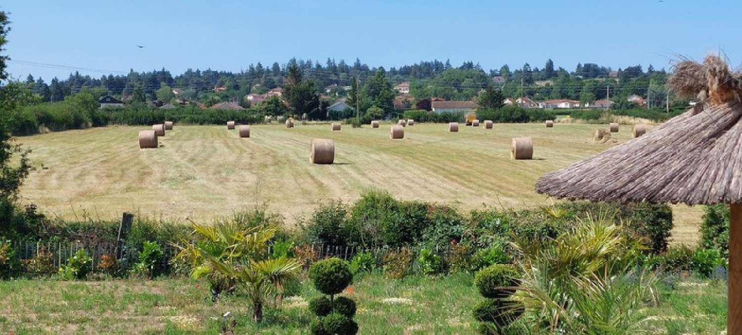  for sale house Roanne Loire 4