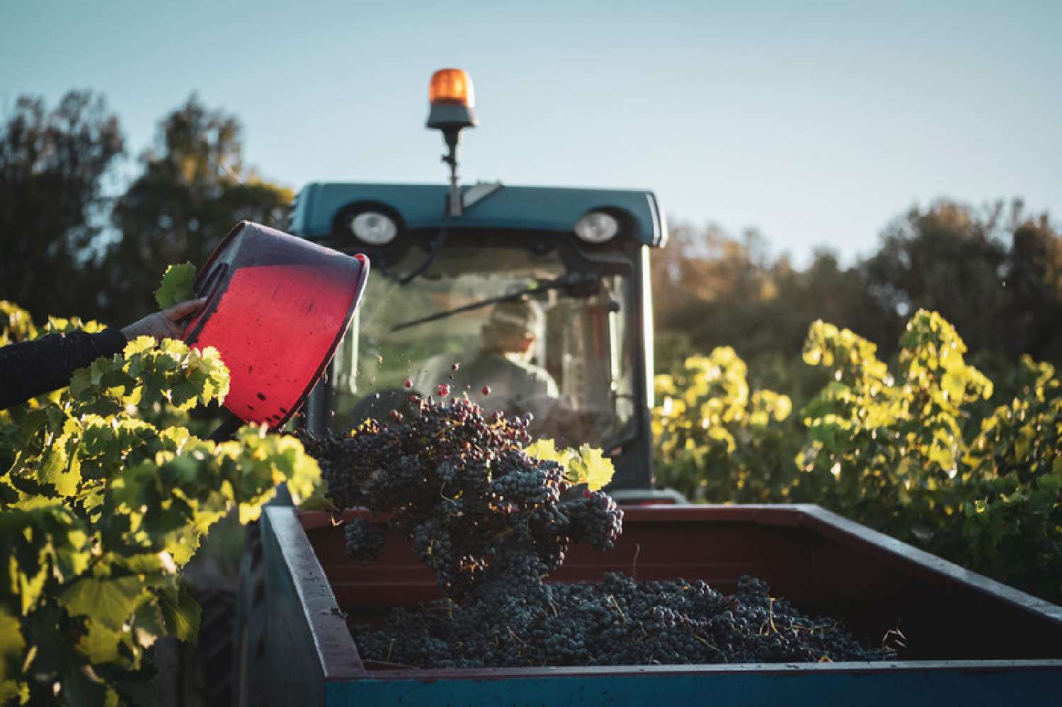  en venta casa Roquessels Hérault 2