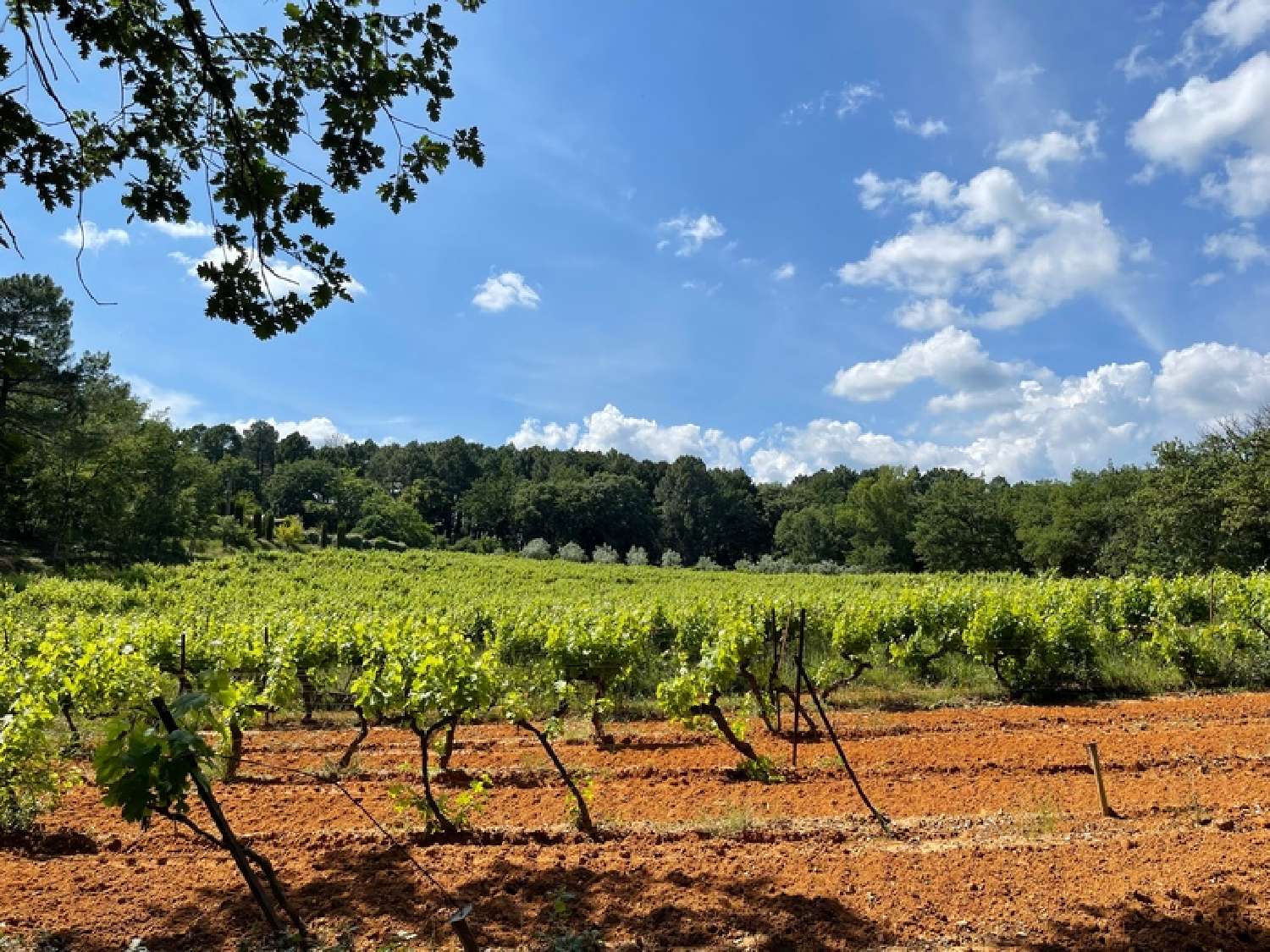 for sale house Roussillon Vaucluse 6