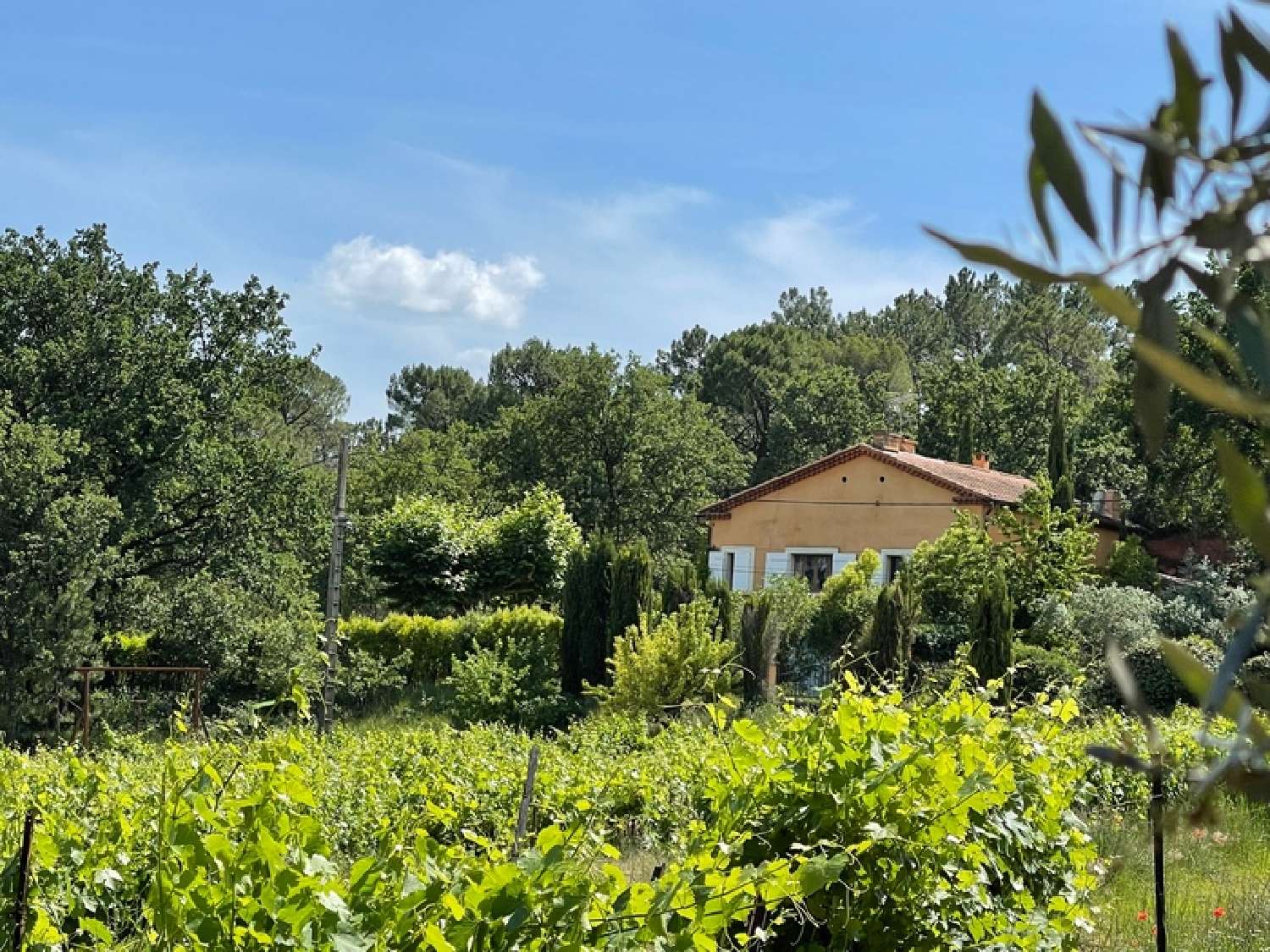 for sale house Roussillon Vaucluse 7