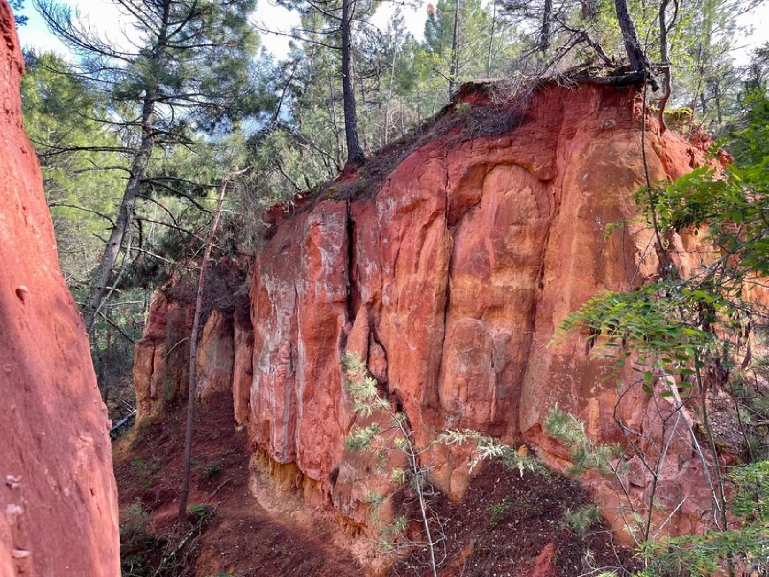 for sale house Roussillon Vaucluse 8