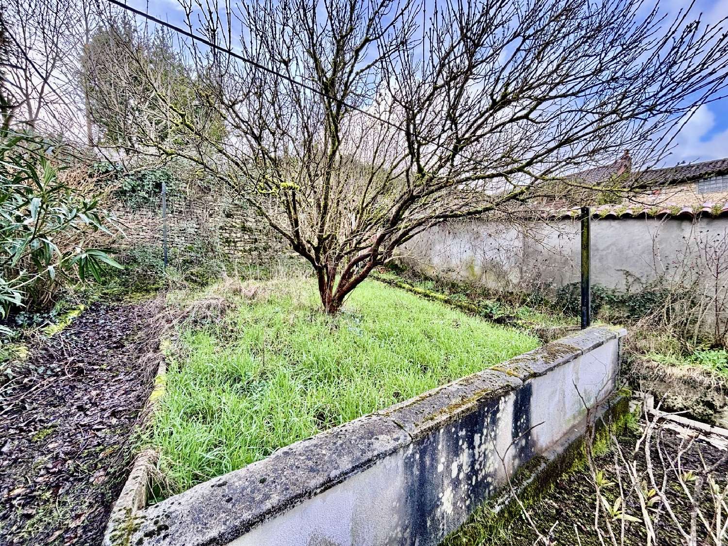  te koop huis Ruffec Charente 6