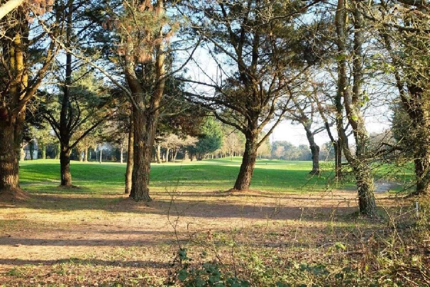  for sale house Saint-André-des-Eaux Loire-Atlantique 2