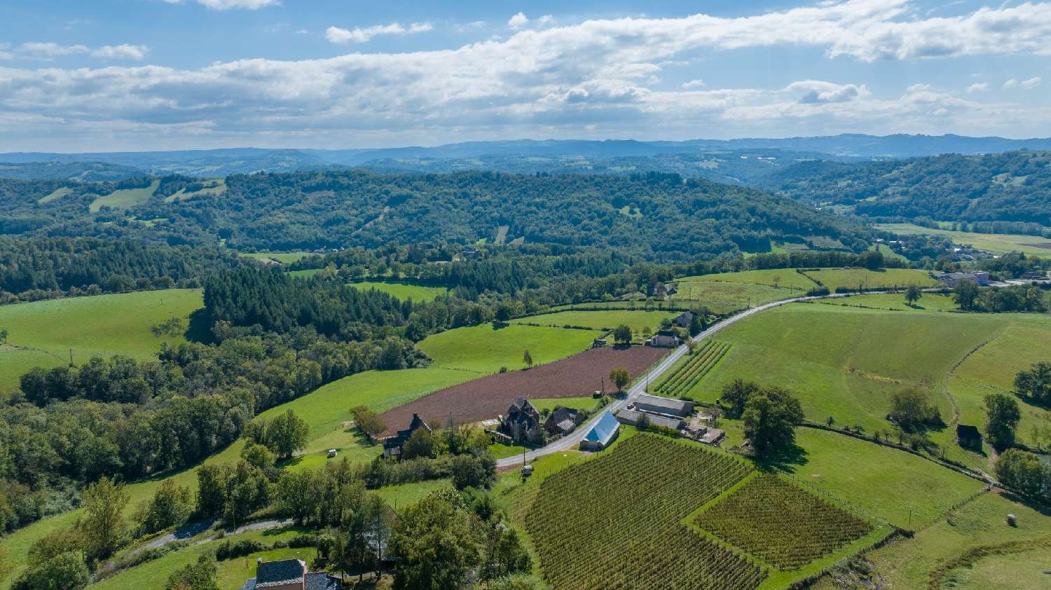  for sale house Saint-Cyprien-sur-Dourdou Aveyron 4