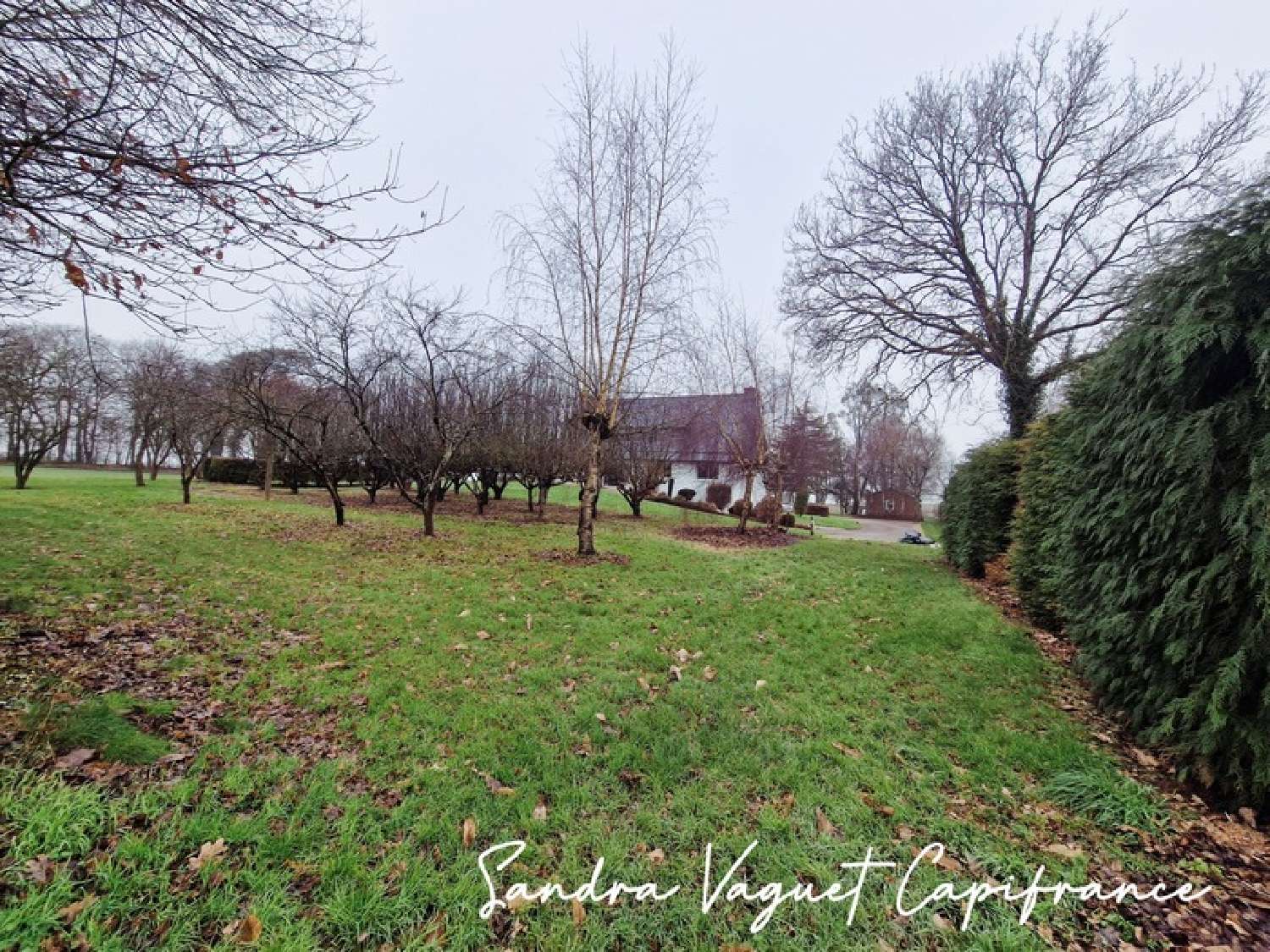  kaufen Haus Saint-Gouvry Morbihan 3