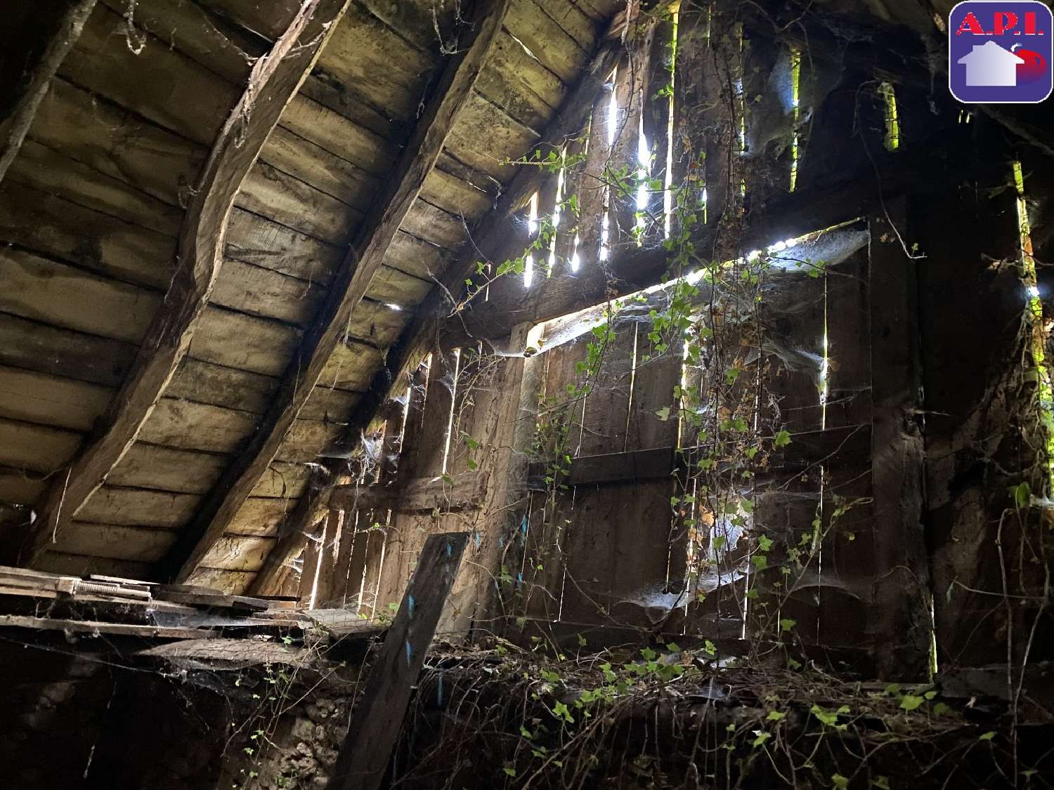  te koop huis Saint-Lary Ariège 7