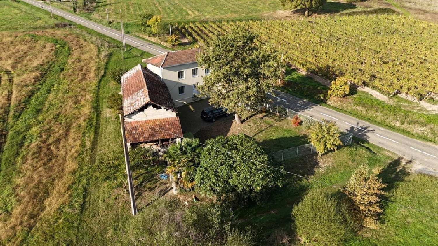  for sale house Saint-Mont Gers 3