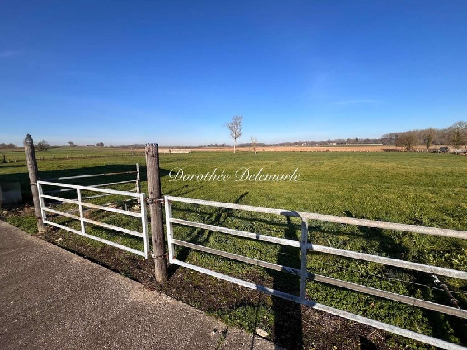  for sale house Saint-Pierre-de-l'Île Charente-Maritime 2