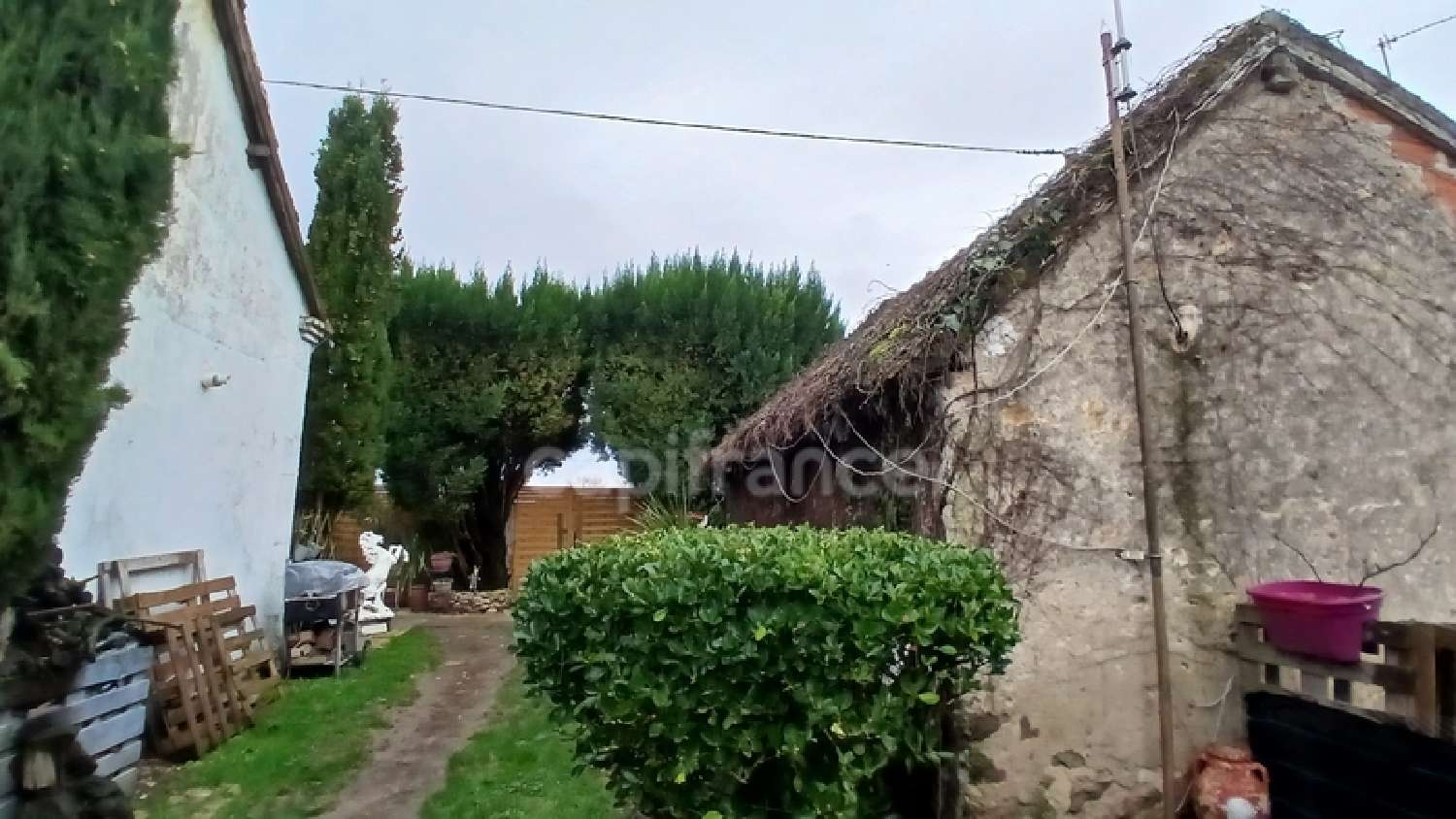  for sale house Saint-Plaisir Allier 7