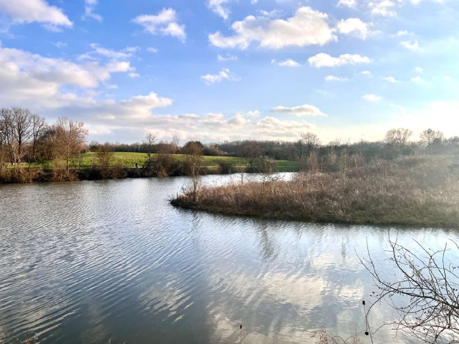 kaufen Haus Saint-Pryvé-Saint-Mesmin Loiret 2