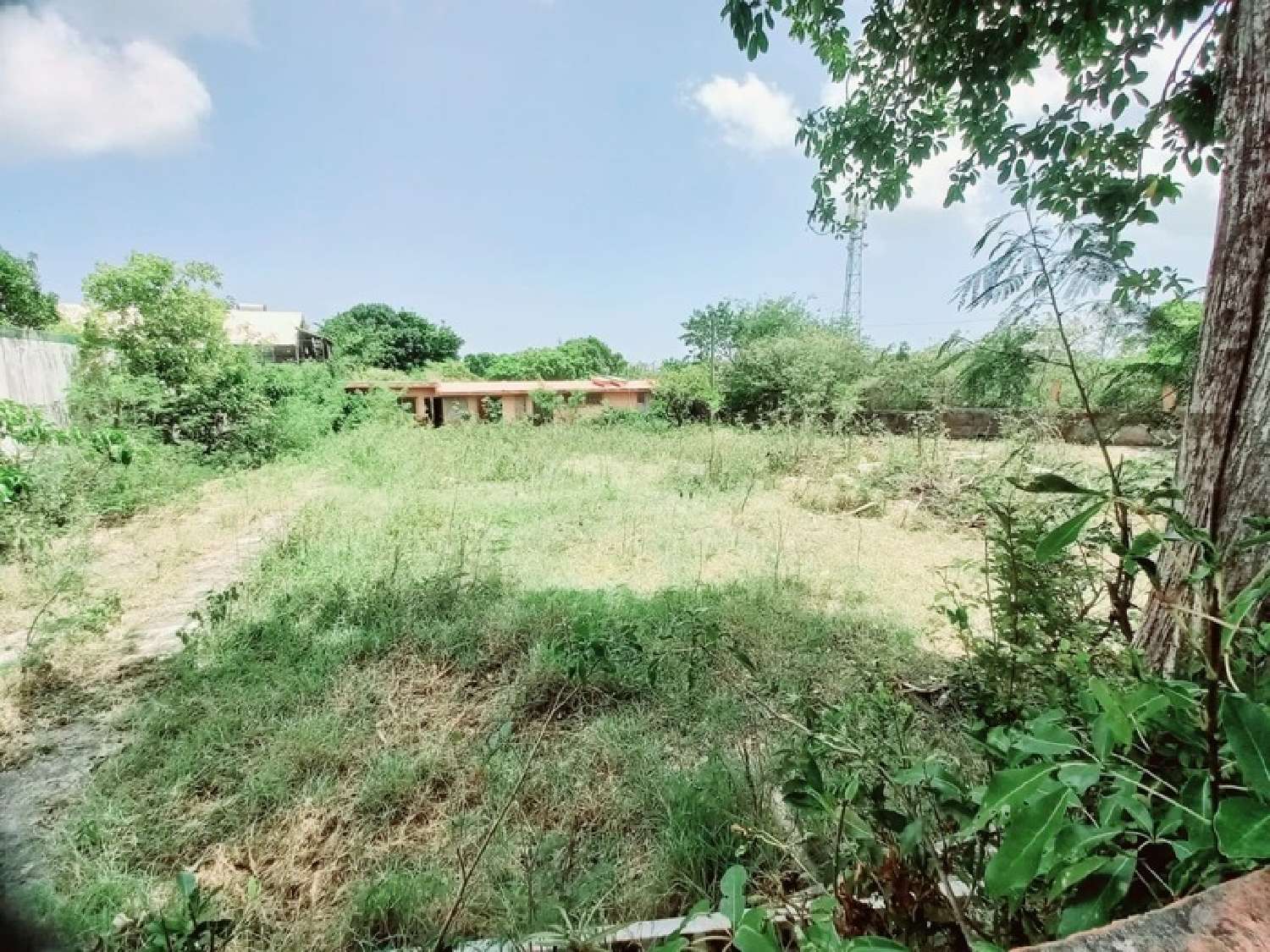  kaufen Haus Sainte-Anne Guadeloupe 2