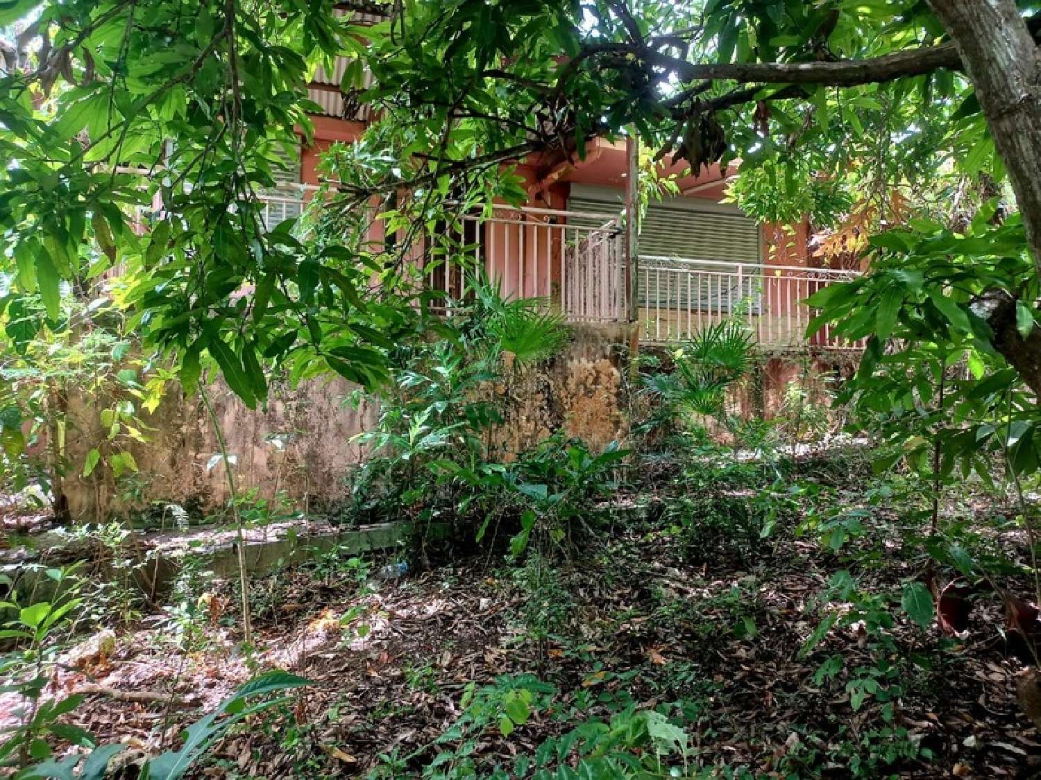  kaufen Haus Sainte-Anne Guadeloupe 3