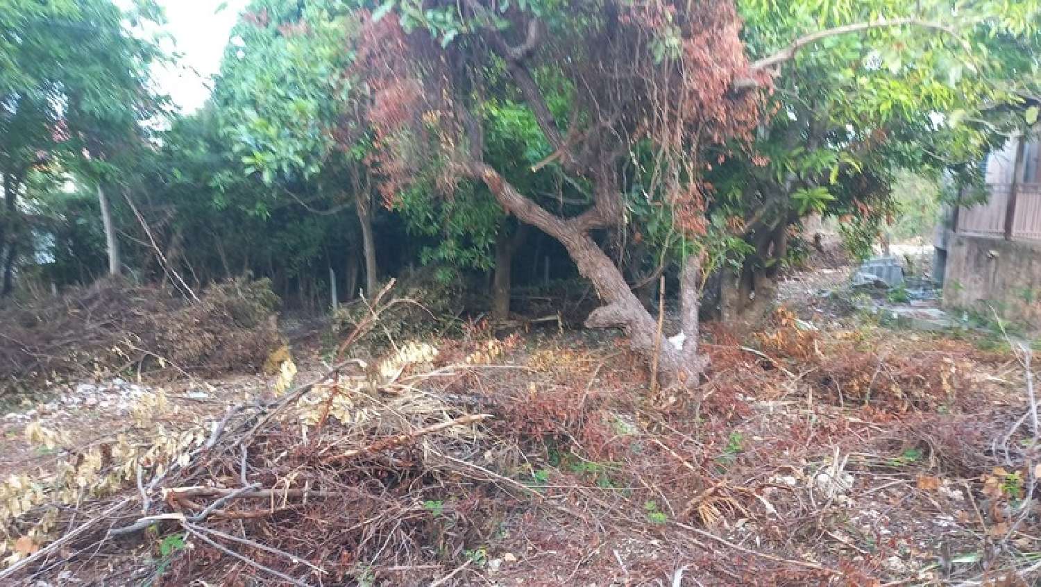  kaufen Haus Sainte-Anne Guadeloupe 4