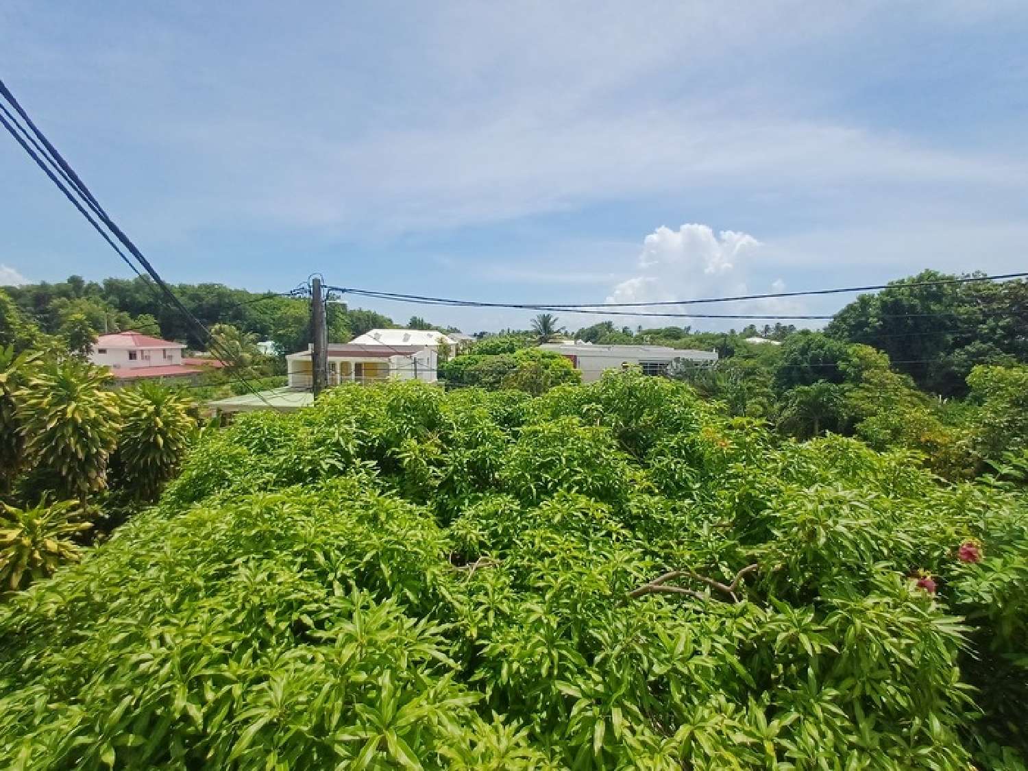 te koop huis Sainte-Anne Guadeloupe 5