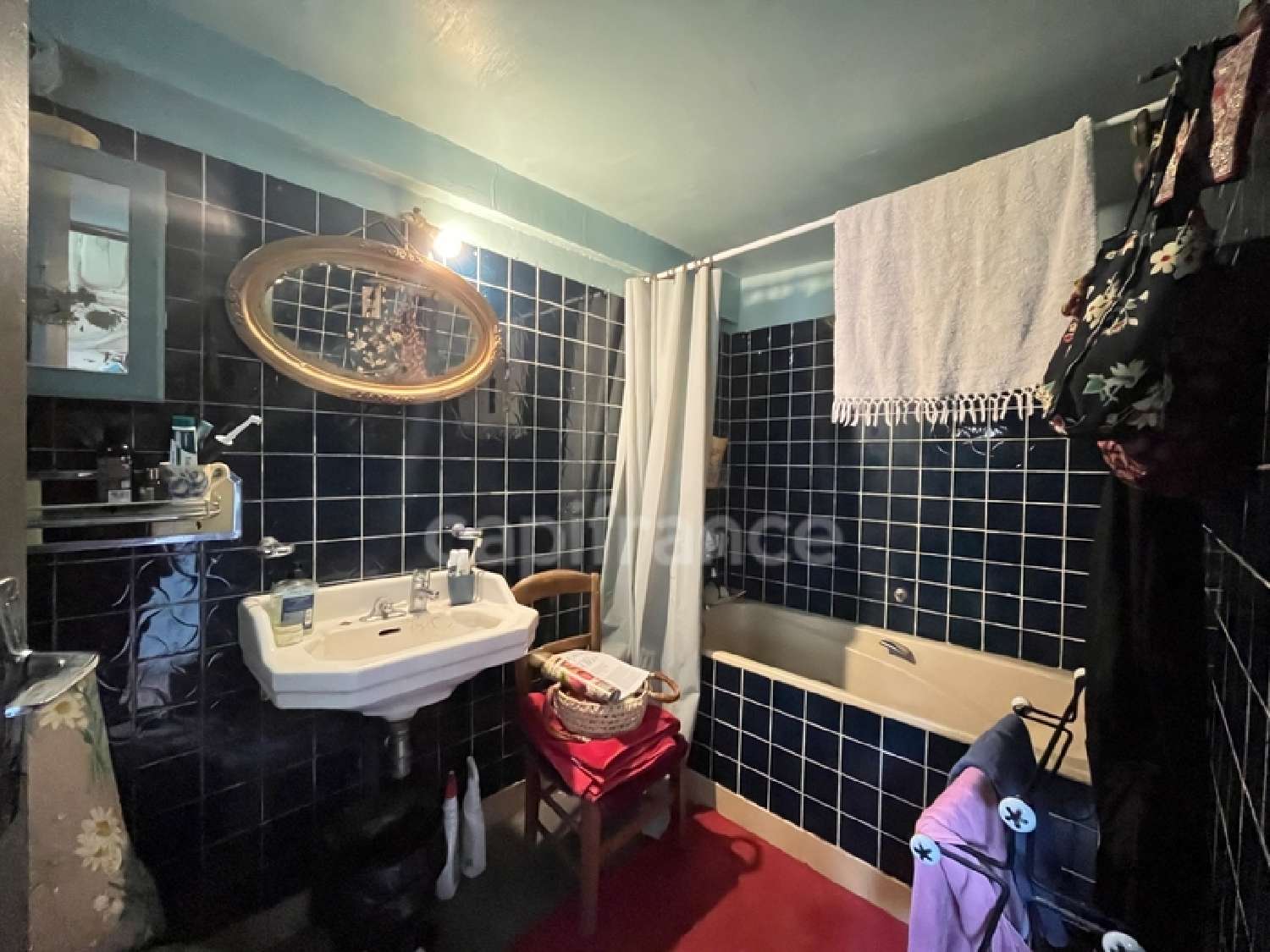  kaufen Haus Sainte-Colombe-sur-Loing Yonne 5