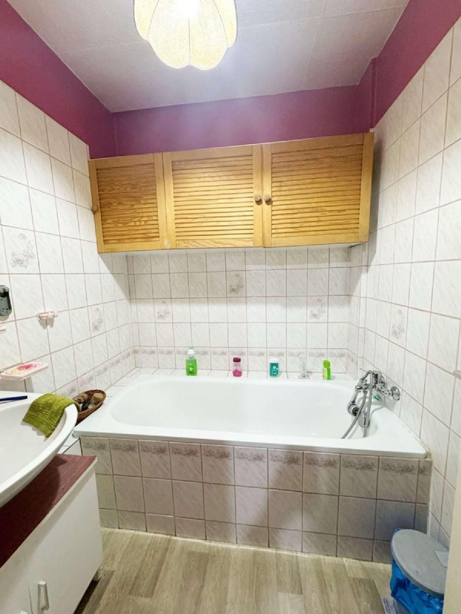 à vendre maison Sainte-Jamme-sur-Sarthe Sarthe 4