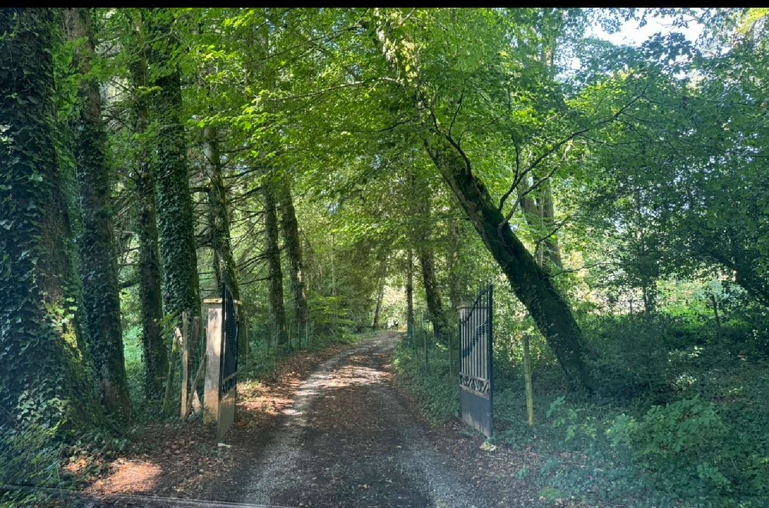 kaufen Haus Saissac Aude 3