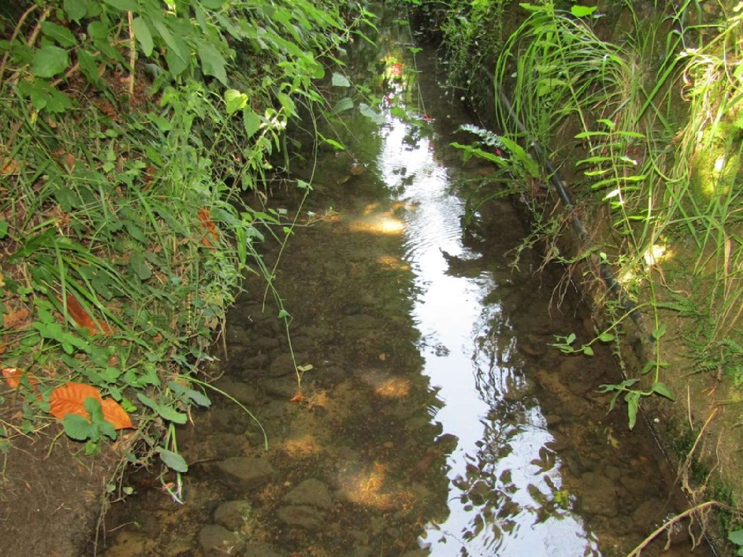  te koop huis Sarlat-la-Canéda Dordogne 5