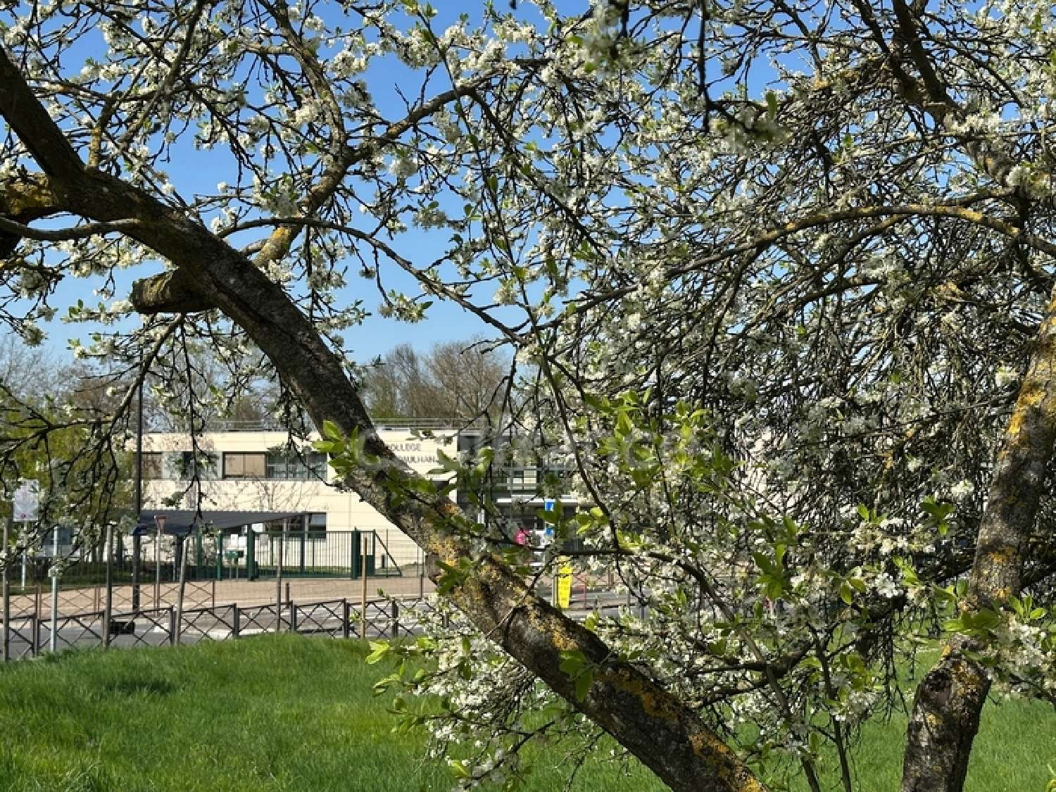 te koop huis Sartrouville Yvelines 1