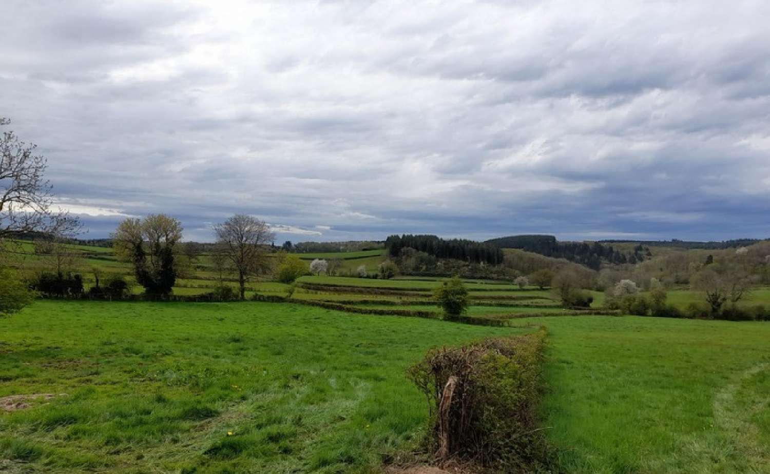  te koop huis Savilly Côte-d'Or 8