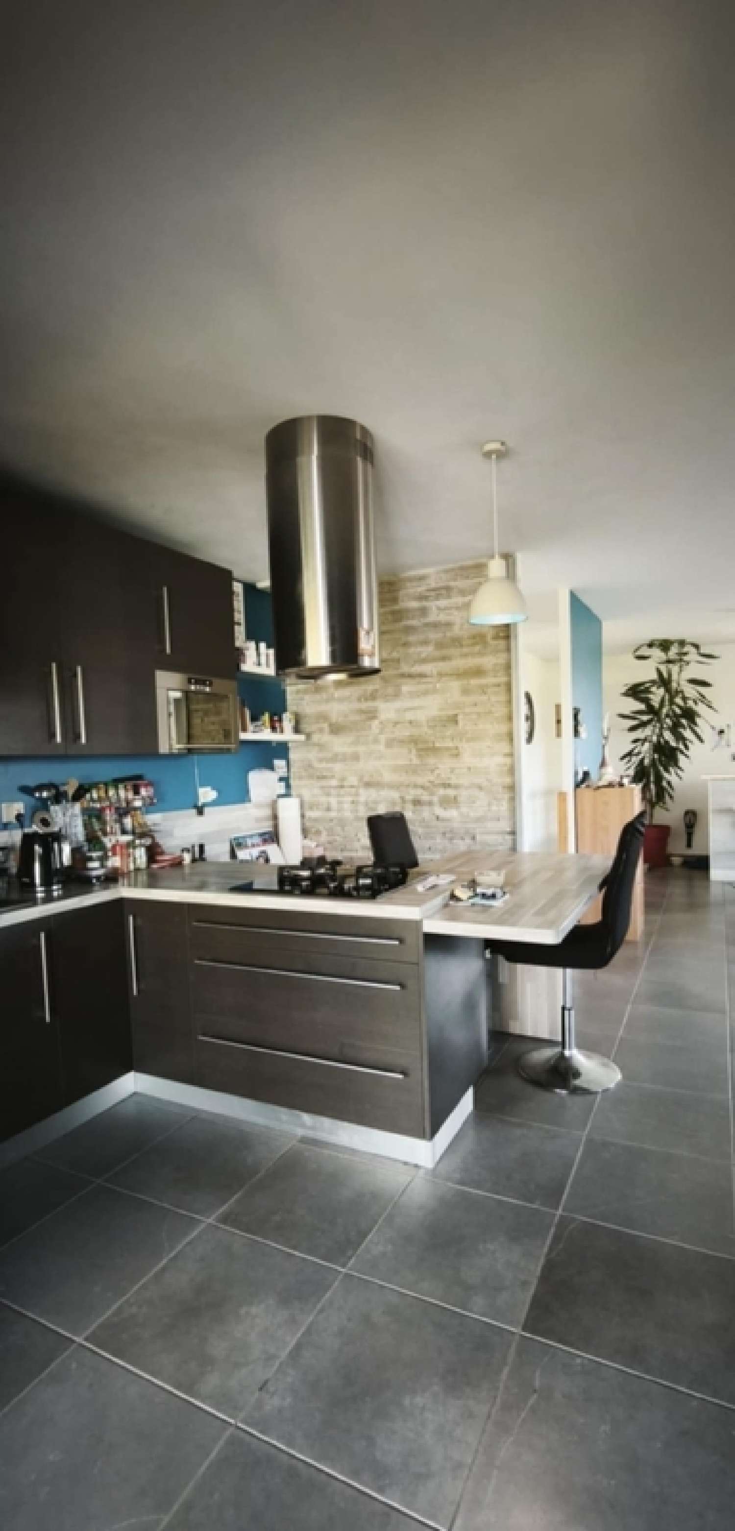 te koop huis Thuellin Isère 5