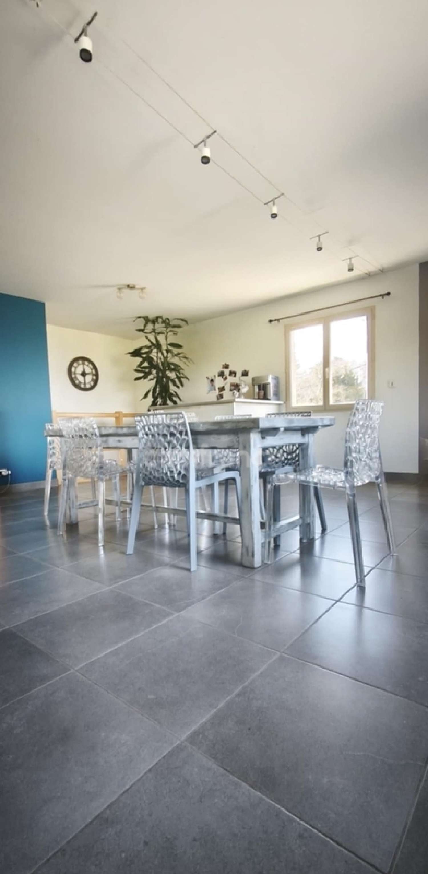 te koop huis Thuellin Isère 6