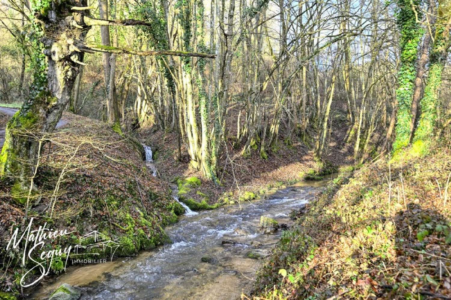  for sale house Thurins Rhône 8